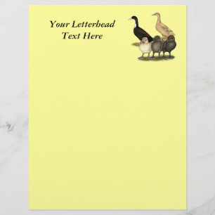 Papier Famille de canards Golden Layer