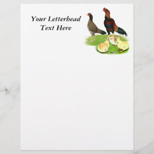 Papier Famille de poulets Aseel Wheaten