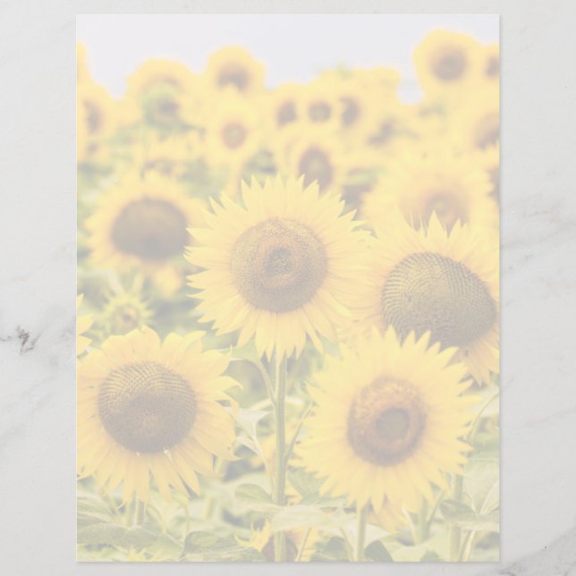 Papier Farms | A Sunflower (Devant)