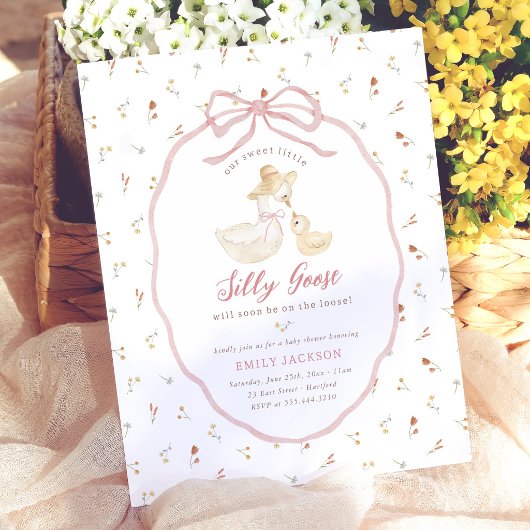Papier Fête de bébé Silly Goose Rose Budget