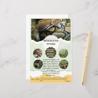 Papier Fiche de soins Python réticulé