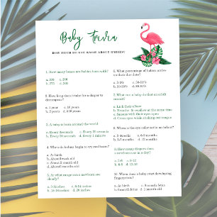 Papier Flamant rose - Trivia bébé   Jeu Baby shower