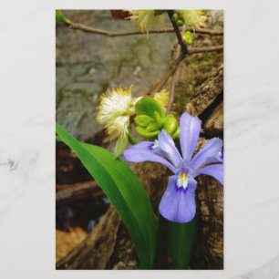 Papier Fleur blanche pourpre bleu Iris