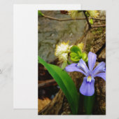 Papier Fleur blanche pourpre bleu Iris (Devant / Derrière)
