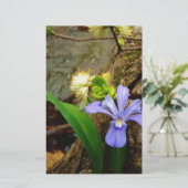 Papier Fleur blanche pourpre bleu Iris (Debout devant)