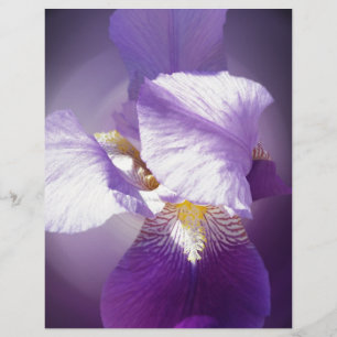 Papier fleur d'iris pourpre