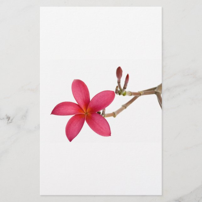 Papier Fleur Frangipani rouge (Devant)
