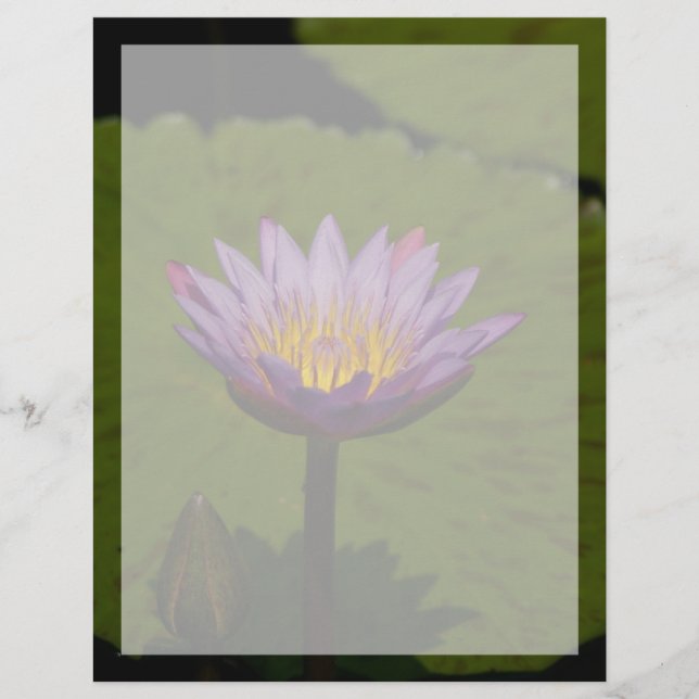 Papier Fleur Nénuphar de Lotus violet (Devant)