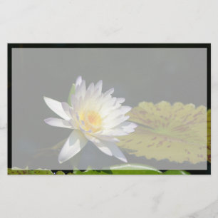 Papier Fleur Nénuphar Lotus blanche