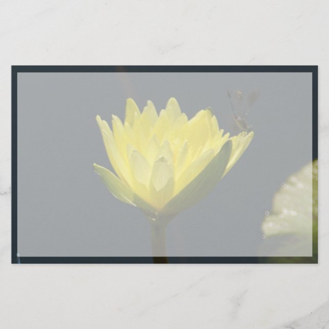 Papier Fleur Nénuphar Lotus Jaune (Devant)
