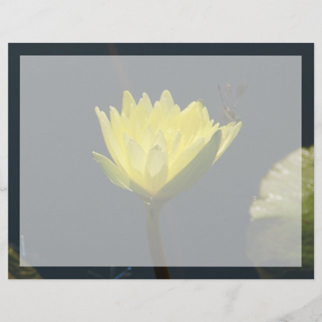 Papier Fleur Nénuphar Lotus Jaune (Devant)