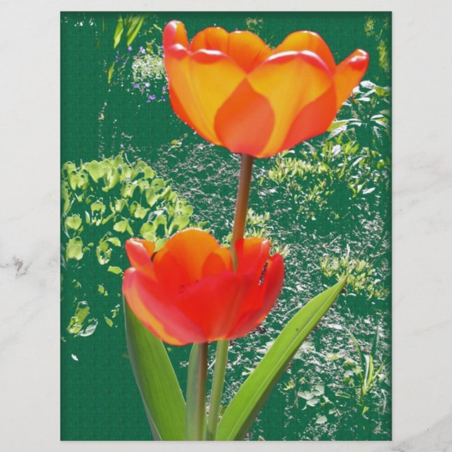 Papier Fleur orange (Devant)