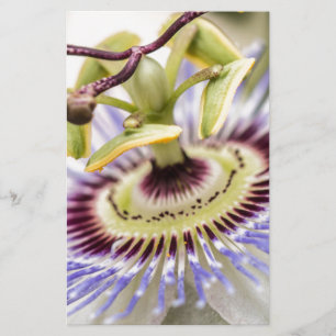 Papier Fleur Passion