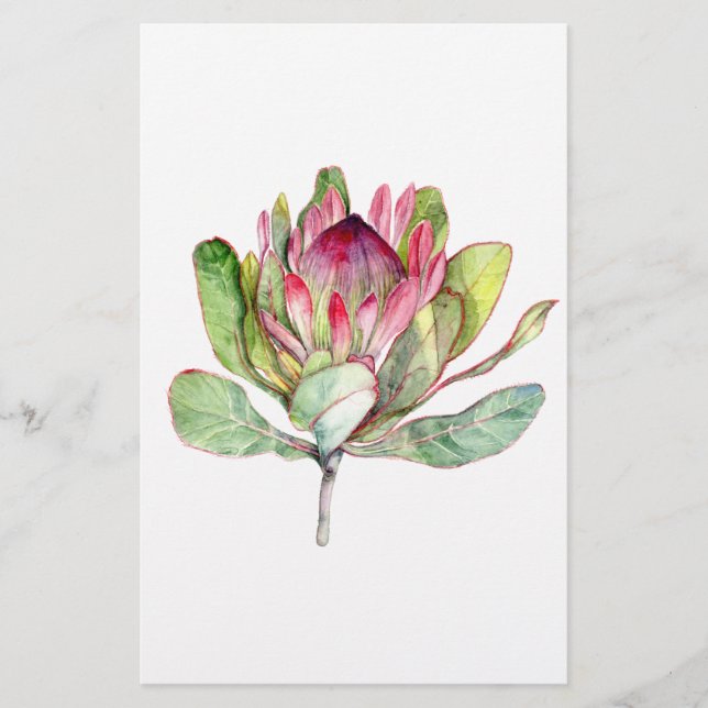 Papier Fleur Protea (Devant)