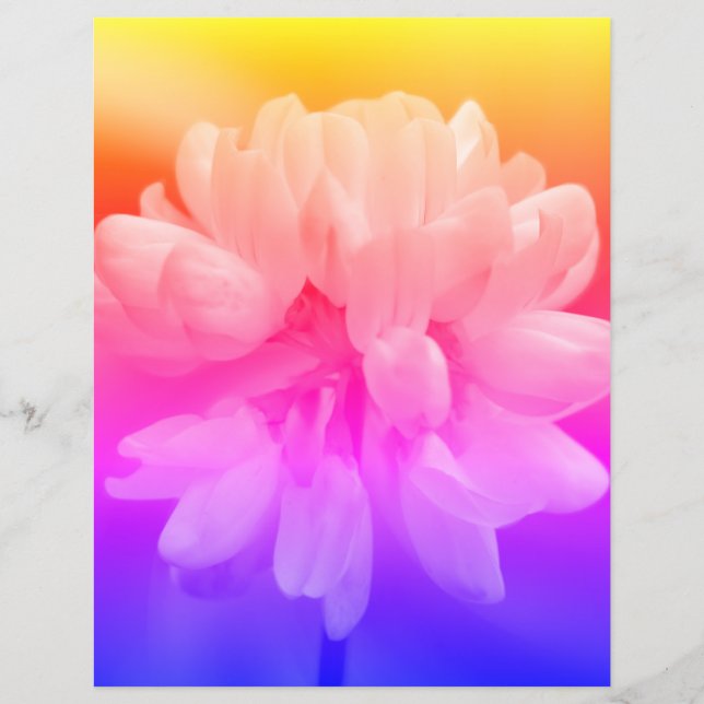 Papier Fleur Rose Et Blanc Gros (Devant)