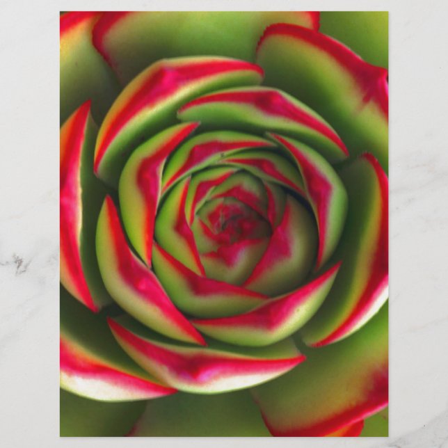 Papier Fleur spirale verte rouge (Devant)