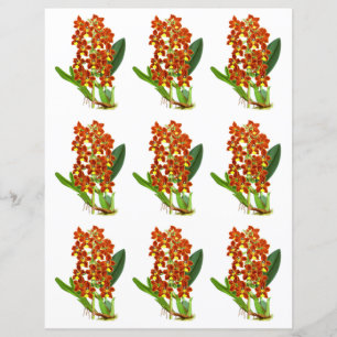 Papier Fleur vintage D'Orchidée Rouge Et Jaune