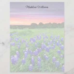 Papier Fleurs   Bluebonnets à Sunset Texas