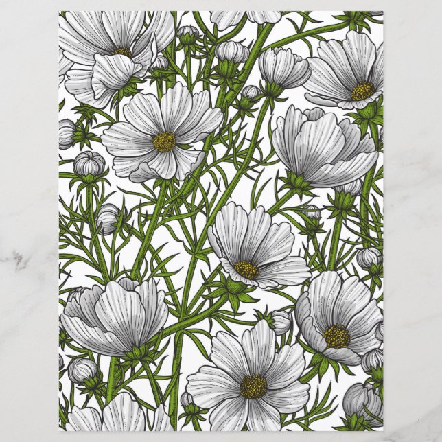 Papier Fleurs de cosmos blanc (Devant)