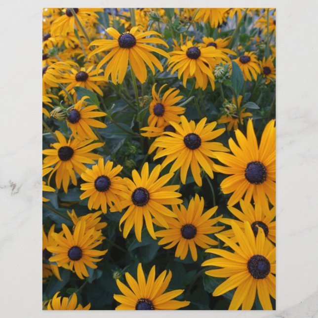 Papier Fleurs de jardin marguerites jaunes. (Devant)