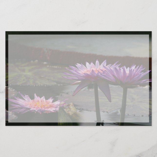 Papier Fleurs de lotus pourpre (Devant)