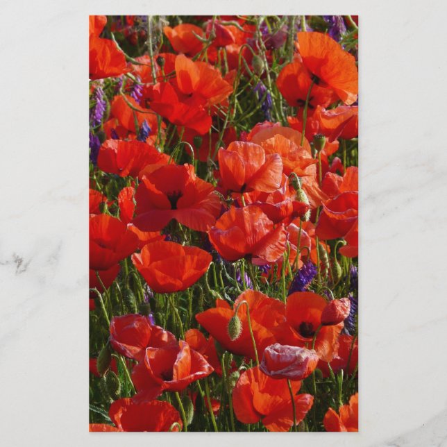 Papier Fleurs de pavot rouge (Devant)