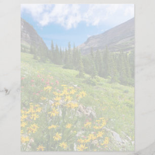 Papier Fleurs Montana Flower Path