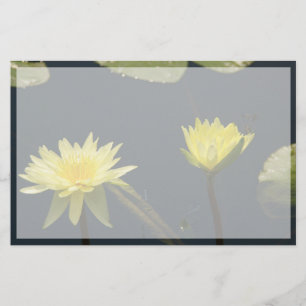 Papier Fleurs Nénuphars Lotus Jaunes