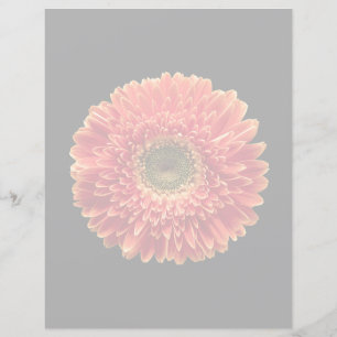 Papier Fleurs Orange Gerbera Daisy