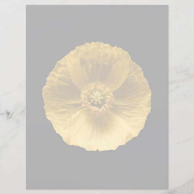 Papier Fleurs | Pavot jaune (Devant)