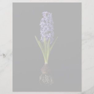 Papier Fleurs Puce Hyacinth violette