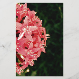 Papier Fleurs roses