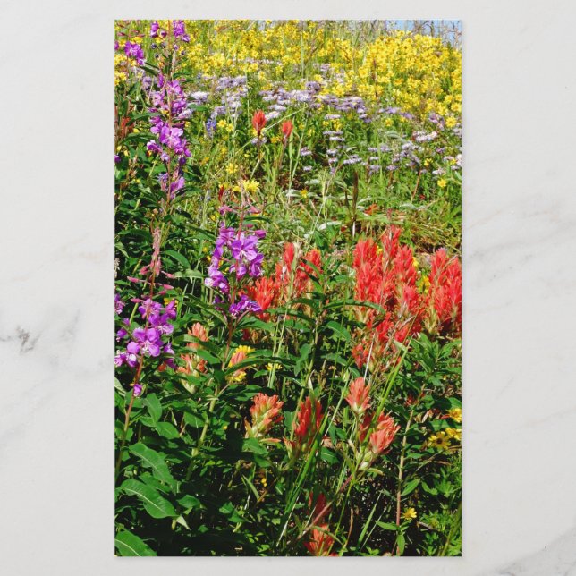 Papier Fleurs sauvages des Rocheuses (Devant)