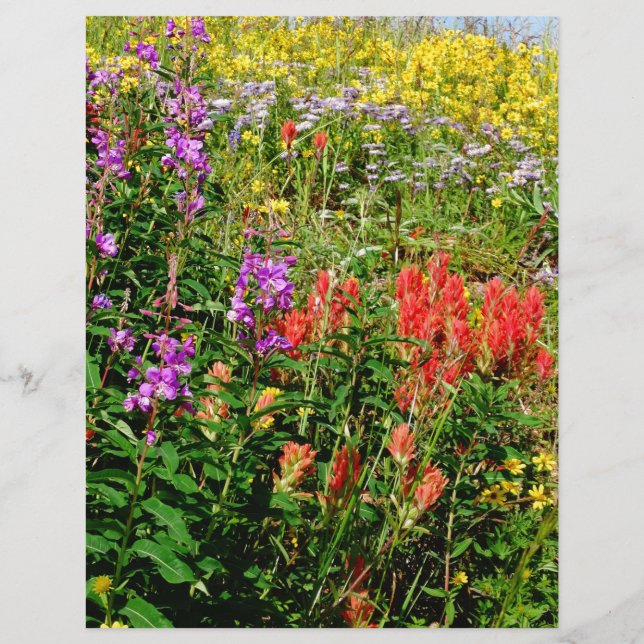 Papier Fleurs sauvages des Rocheuses (Devant)