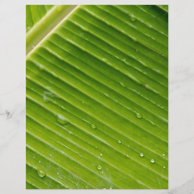 Papier Flora Dominica 1 (Devant)