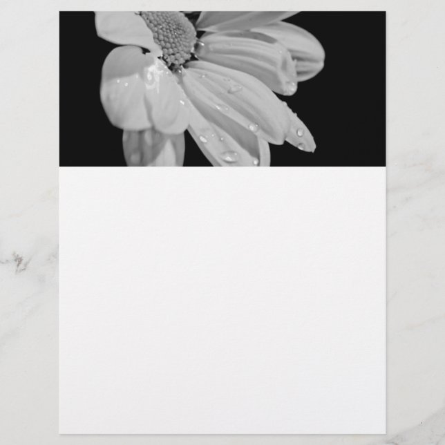 Papier Floral Paisible (Devant)