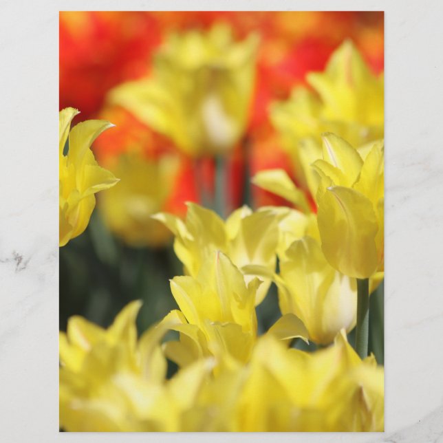 Papier Flore tombée Été Glow (Devant)