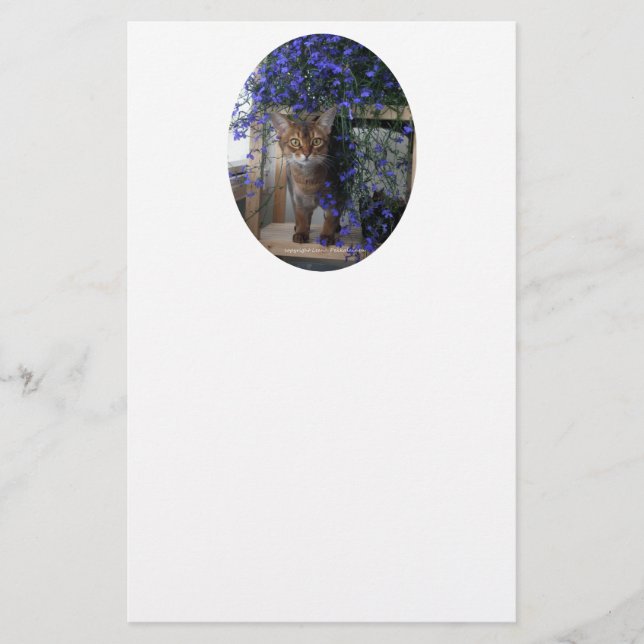 Papier Flower Cat Oval (Devant)