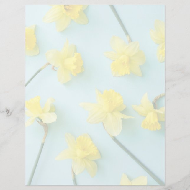 Papier Flowers (homonymie) | Daffodils (Devant)