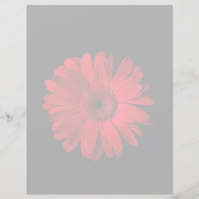 Papier Flowers | Red Gerbera Daisy (Devant)