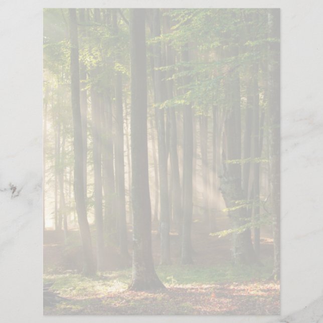 Papier Forests | Autumn Forest (Devant)
