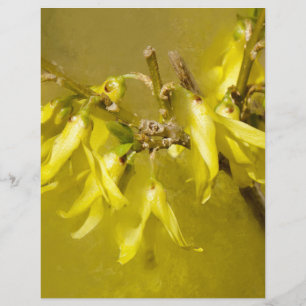Papier Forsythia - Soleil printanier