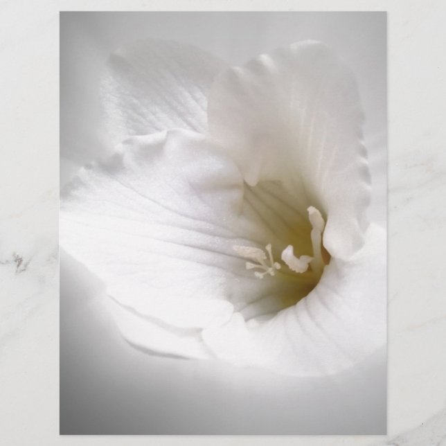 Papier frénésie blanche (Devant)