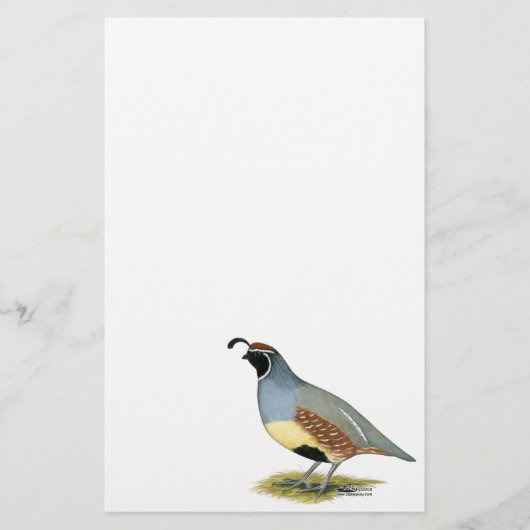 Papier Gambel's Desert Quail (Devant)