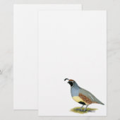 Papier Gambel's Desert Quail (Devant / Derrière)
