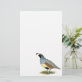 Papier Gambel's Desert Quail (Debout devant)