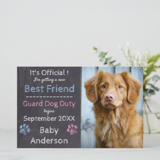 Papier Garde budgétaire Faire-part de grossesse en servic (Debout devant)