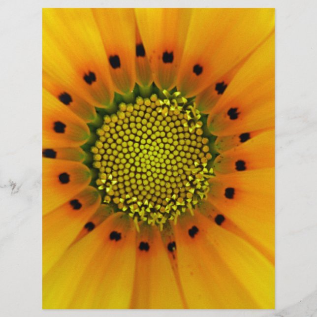 Papier Gazania jaune (Devant)