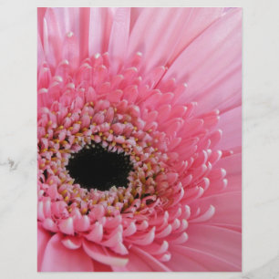 Papier Gerbera Daisy