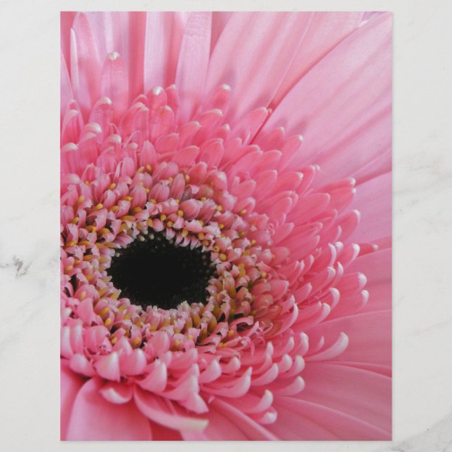 Papier Gerbera Daisy (Devant)